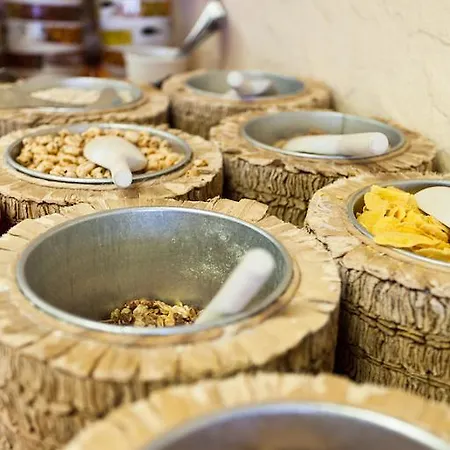 酒店 多特蒙得城市酒店