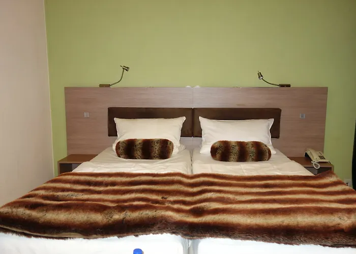 City Hotel Dortmund מלון 3*